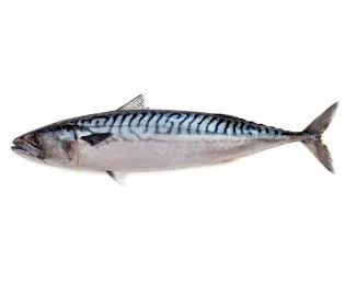 Caballa